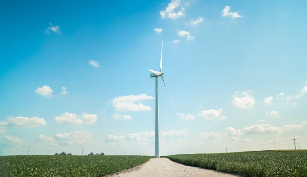 Green Hydrogen's Efficiency Gap Sharpens the Case for Geological Sources