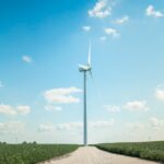 Green Hydrogen's Efficiency Gap Sharpens the Case for Geological Sources