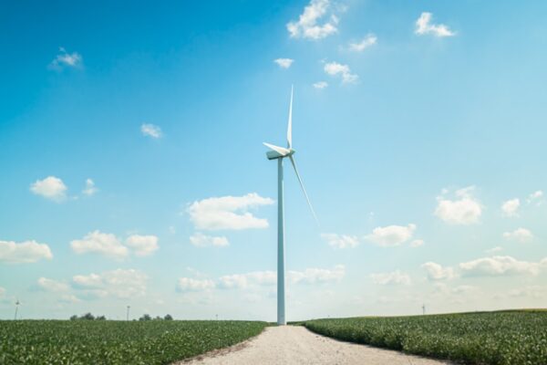 Green Hydrogen's Efficiency Gap Sharpens the Case for Geological Sources