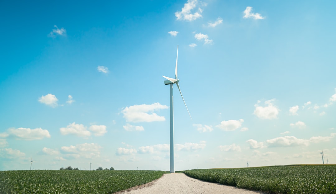 Green Hydrogen's Efficiency Gap Sharpens the Case for Geological Sources