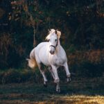 Horse D20 Methanol REEV: Where Natural Hydrogen Fits the 2035 ICE Calculus